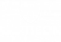 Pattison College NSA Logo